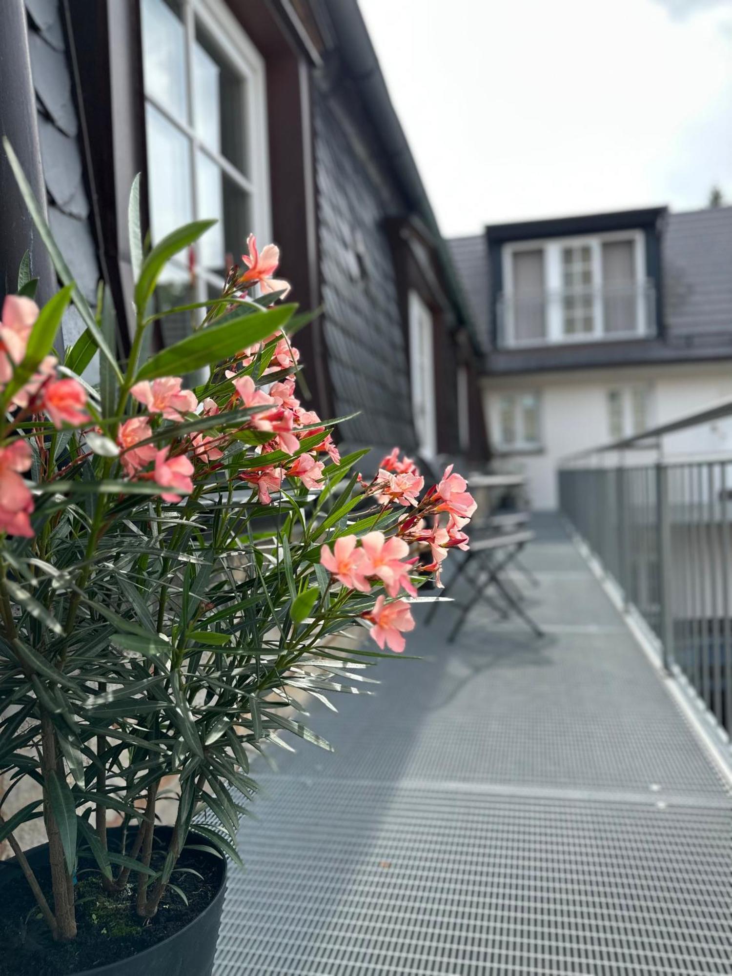 Rotmain Apartments 바이로이트 외부 사진
